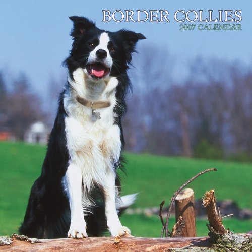 Border Collies 2007 Calendar Books