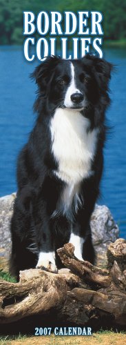 Border Collies 2007 Slimline Calendar Books