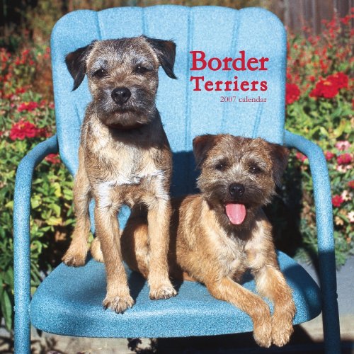 Border Terriers 2007 Calendar Books