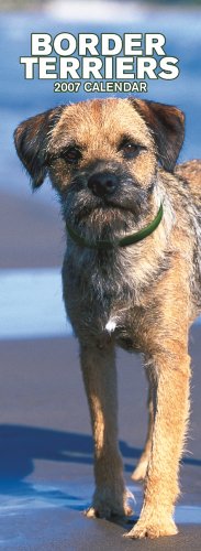 Border Terriers 2007 Slimline Calendar Books