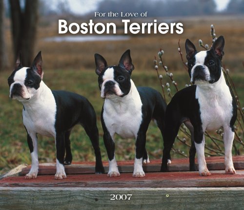 For the Love of Boston Terriers 2007 Deluxe Calendar Books