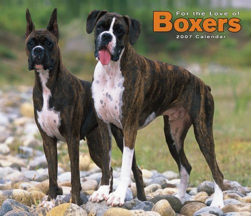 For the Love of Boxers 2007 Deluxe Calendar Books
