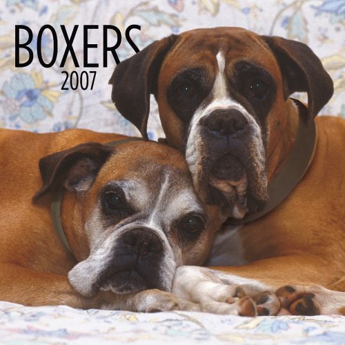 Boxers International2007 Calendar Books