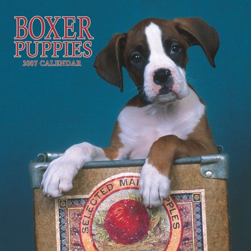 Boxer Puppies 2007 Calendar Books