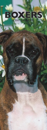 Boxers International2007 Slimline Calendar Books
