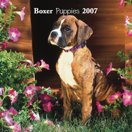 Boxer Puppies 2007 Mini Calendar Books