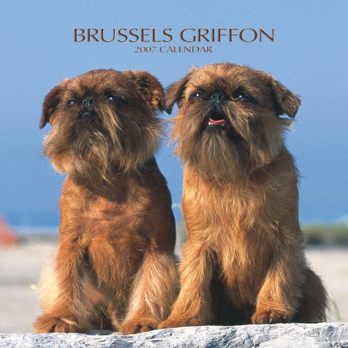 Brussels Griffon 2007 Calendar Books