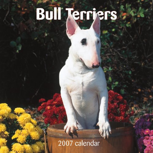 Bull Terriers 2007 Calendar Books