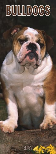 Bulldogs 2007 Slimline Calendar Books