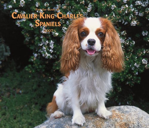 For the Love of Cavalier King Charles Spaniels 2007 Deluxe Calendar Books