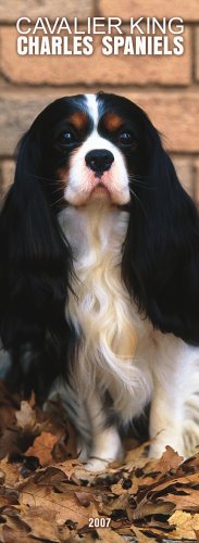 Cavalier King Charles Spaniels 2007 Slimline Calendar Books
