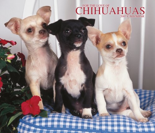 For the Love of Chihuahuas 2007 Deluxe Calendar Books