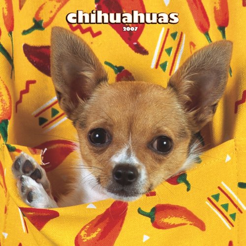 Chihuahuas 2007 Calendar Books