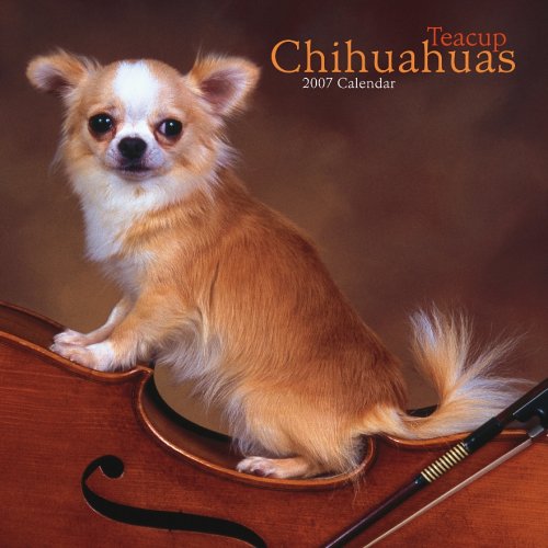 Teacup Chihuahuas 2007 Calendar Books