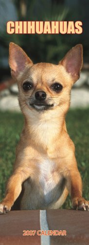 Chihuahuas 2007 Slimline Calendar Books