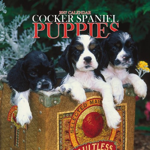 Cocker Spaniel Puppies 2007 Mini Calendar Books