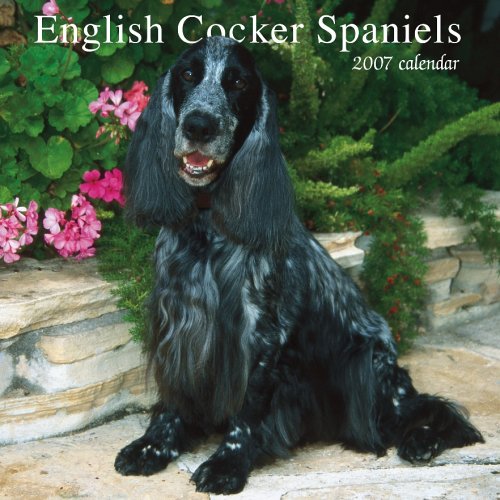 English Cocker Spaniels 2007 Calendar Books