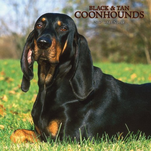 Black & Tan Coonhounds 2007 Calendar Books