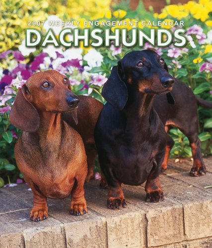 Dachshunds 2007 Weekly Calendar Books