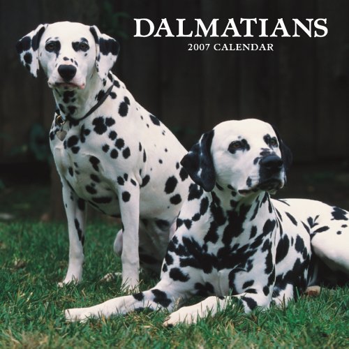 Dalmatians 2007 Calendar Books