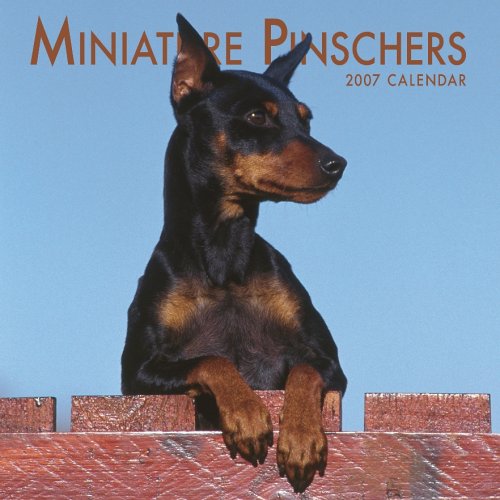Miniature Pinschers 2007 Calendar Books