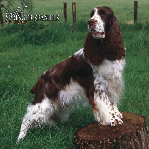 English Springer Spaniels 2007 Calendar Books