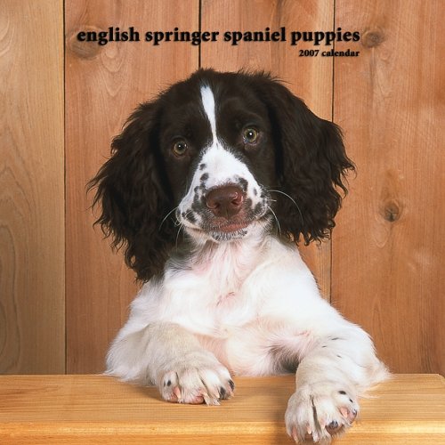 English Springer Spaniel Puppies 2007 Mini Calendar Books