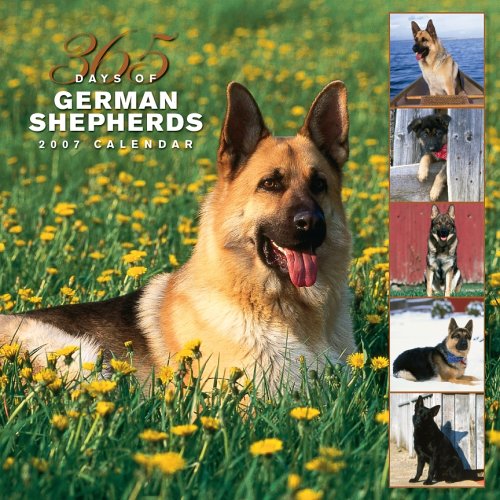 German Shepherds 365 Days 2007 Calendar Books