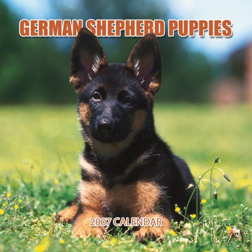 German Shepherd Puppies 2007 Mini Calendar Books