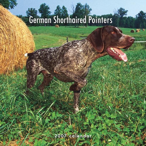 German Shorthaired Pointers 2007 Calendar Books