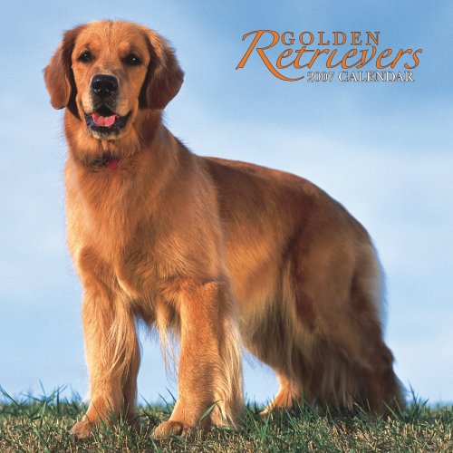 Golden Retrievers 2007 Calendar Books