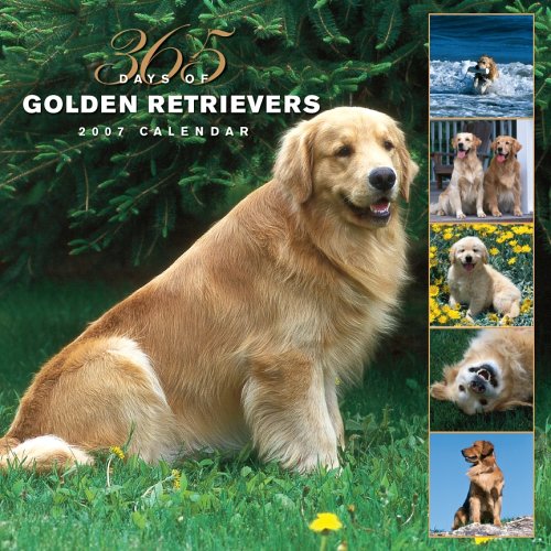 Golden Retrievers 365 Days 2007 Calendar Books