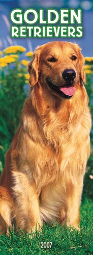 Golden Retrievers 2007 Slimline Calendar Books