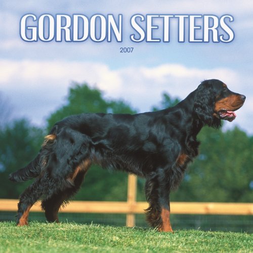 Gordon Setters 2007 Calendar Books