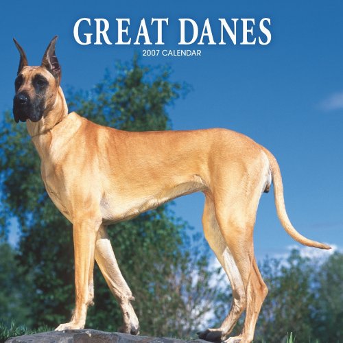 Great Danes 2007 Calendar Books