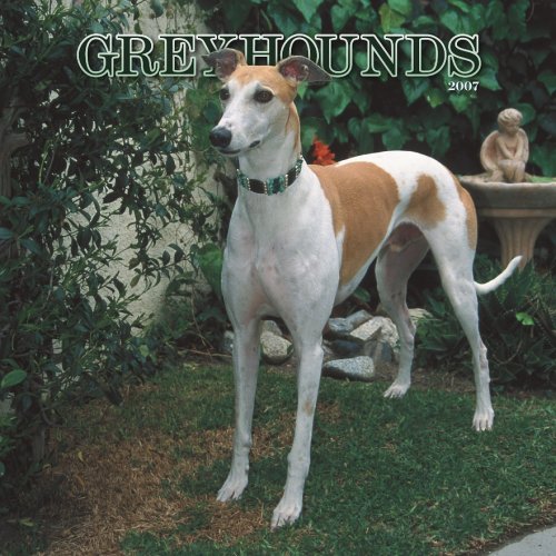 Greyhounds 2007 Calendar Books