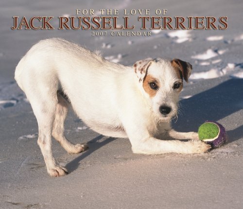For the Love of Jack Russell Terriers 2007 Deluxe Calendar Books