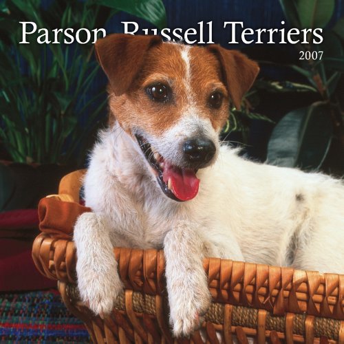 Parson Russell Terriers 2007 Calendar Books