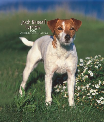 Jack Russell Terriers 2007 Calendar Books