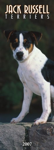 Jack Russell Terriers 2007 Slimline Calendar Books