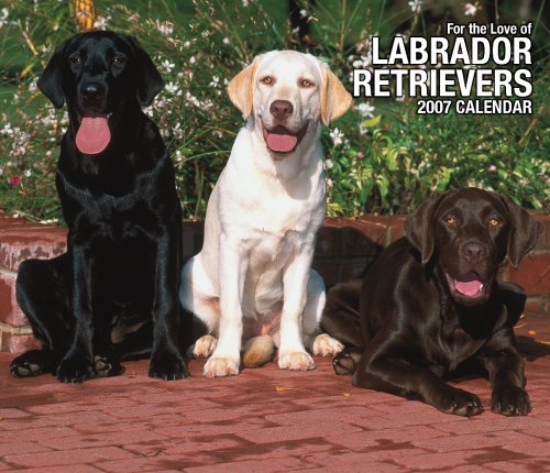 For the Love of Labrador Retrievers 2007 Deluxe Calendar Books