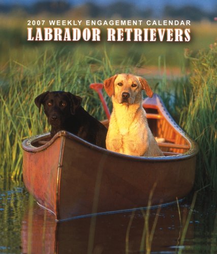 Labrador Retrievers 2007 Weekly Calendar Books