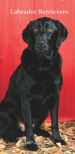 Labrador Retrievers 2007 Slim Diary Books