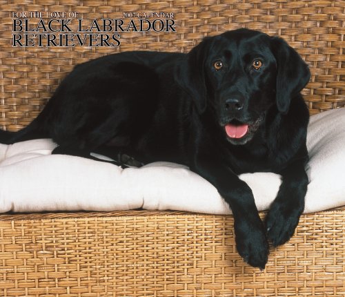 For the Love of Labrador Retrievers 2007 Deluxe Calendar Books