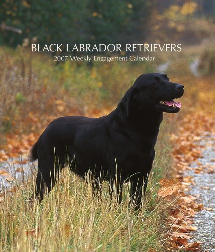 Black Labrador Retrievers 2007 Weekly Calendar Books