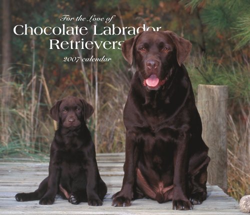 For the Love of Chocolate Labrador Retrievers 2007 Deluxe Calendar Books