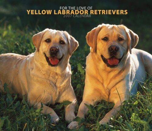 For the Love of Yellow Labrador Retrievers 2007 Deluxe Calendar Books