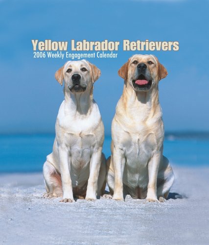 Yellow Labrador Retrievers 2007 Weekly Calendar Books