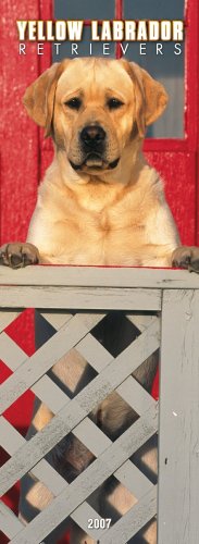 Yellow Labrador Retrievers 2007 Slimline Calendar Books