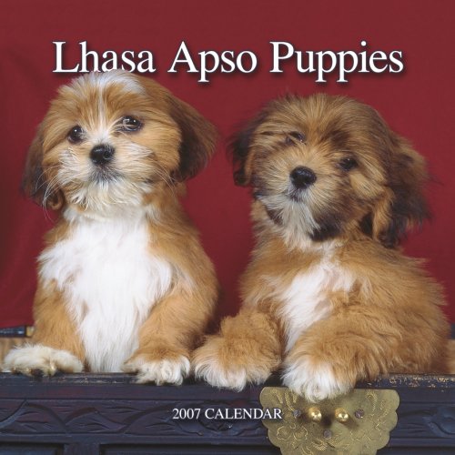 Lhasa Apsos Puppies 2007 Mini Calendar Books